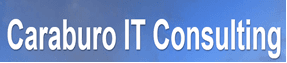 Caraburo Consulting logo